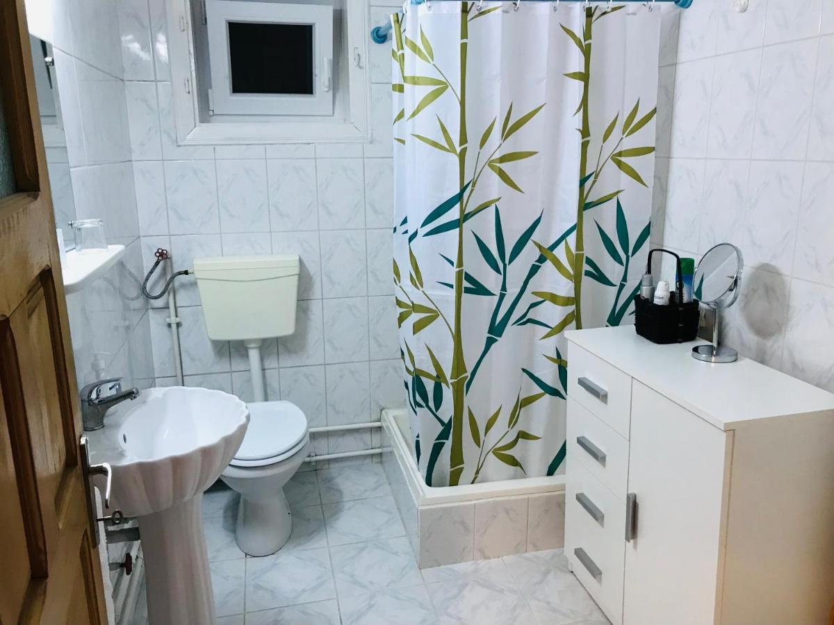 גורה הומורולווי Apartament Vica מראה חיצוני תמונה