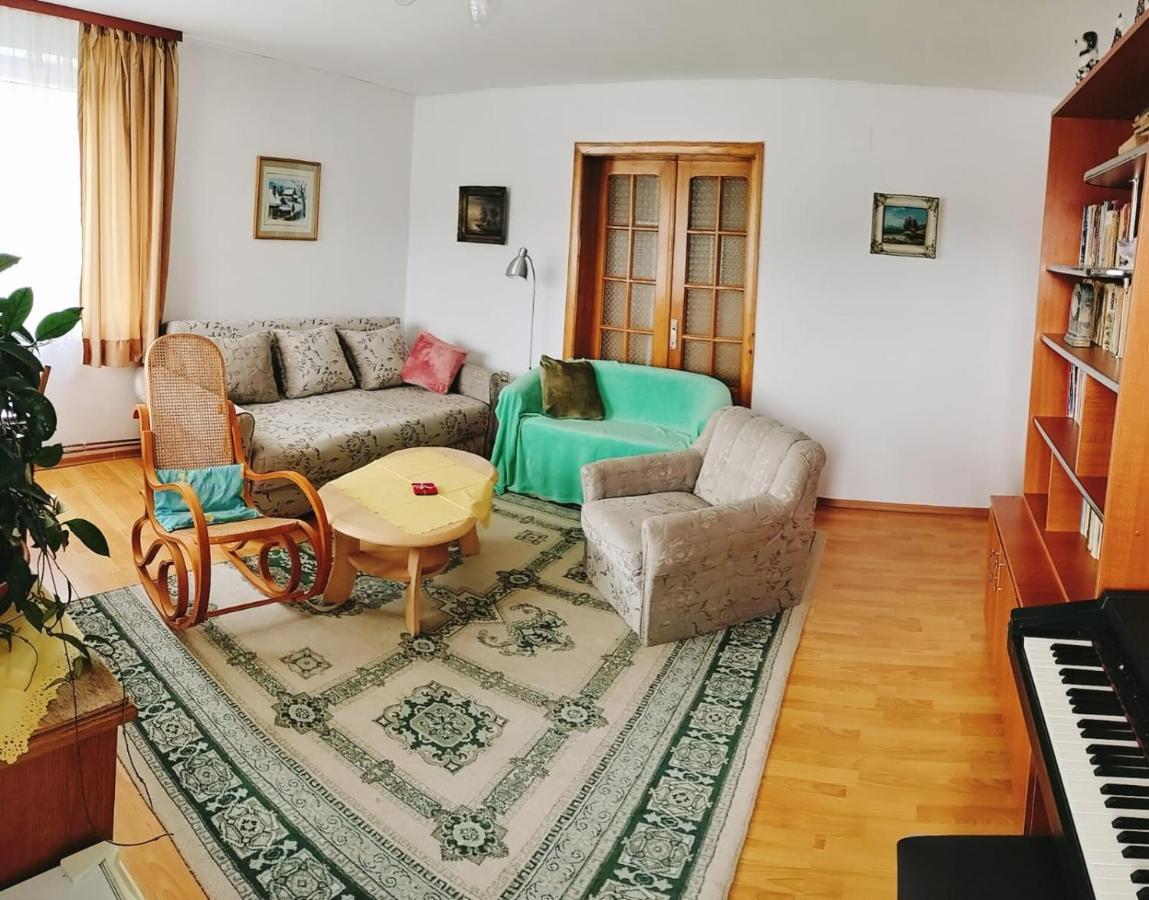 גורה הומורולווי Apartament Vica מראה חיצוני תמונה